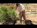 nomadic life style of Iran _how nomadic men get bees in their beehives