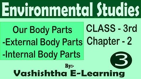 Our Body Parts, Class- 3rd, EVS, Lesson-2, (Video No.- 3)
