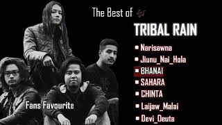Best  Of Tribal Rain Collection Of Acoustic Experimental Hits  Fans Favorite  