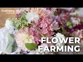Flower Farming - 2020 Scottish Smallholder Festival