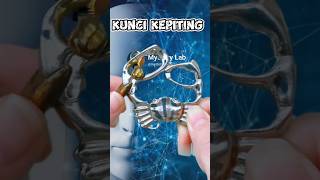How to Remove a Ring from a Crab Key #puzzle #logic #tutorial #puzzle #logicpuzzle