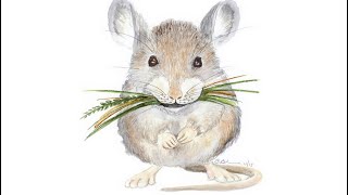 13 Cute Church mouse quotes