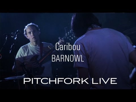 Putar Barnowl - Caribou