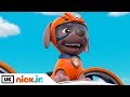 Paw patrol  pups save a lost tooth  nick jr uk