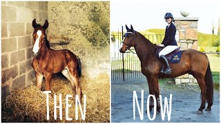 KHAL'S 5 YEAR TRANSFORMATION