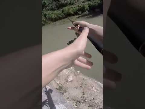 Video: Dove si trova il fiume Sestra? Descrizione e recensioni di pesca