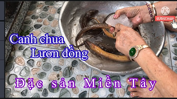 Canh chua Lươn đồng bắp chuối - Đặc sản Miền Tây | @nhipsongsaigonchannel