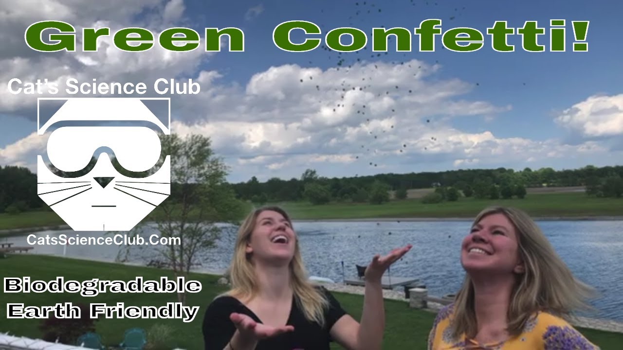 after school program assistant interview questions Green Confetti. Make your own confetti that is Earth friendly.