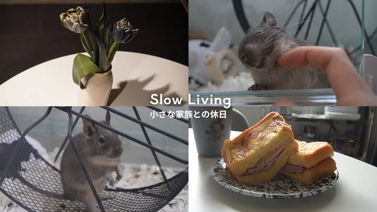 【1R模様替え】余白のある休日/ 小さな家族と過ごす おうちカフェと模様替えvlog