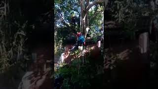 1081202攀樹師到環境教育課程2