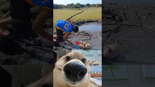 stuck between a slop and a hard place #dog #meme #funny #wgitachi