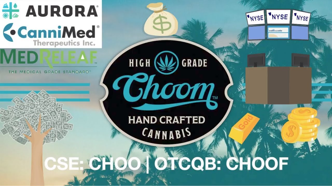 is choom stock a good investment