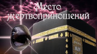 Кааба - место полное тайн l Язычники и жертвоприношения