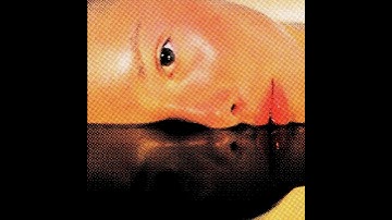 Halftones for Final Cut Pro, Premiere Pro, Motion and After Effects