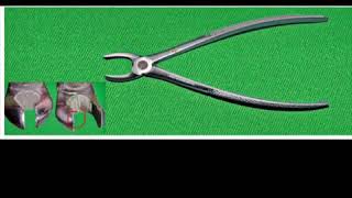 Dental forceps basic|dental extraction forceps