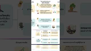 พลิกวิกฤต ตะวันออกกลาง สู่วัตถุดิบในประเทศ #thaipbs #shortsthaipbs