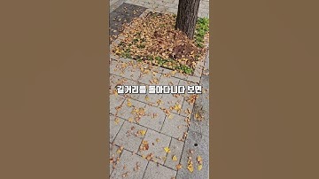 해외에서 한국 길거리가 화제인 이유
