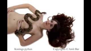 Art Video Humans With Animals By Amit Bar - The Serie. Edsa Content.