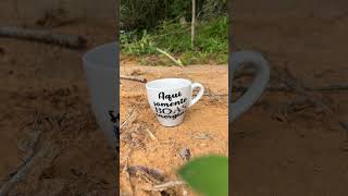 #Fazenda #fazendinhadebrinquedo #trendingshorts #turistandoemsp #trilhas #trilhasradicais ￼￼