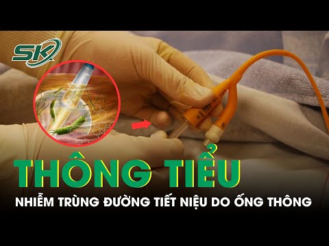 Video: 3 cách sử dụng ống thông tiểu cho phụ nữ