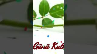 Anneler Günü Mesajı 14 Mayıs 2023