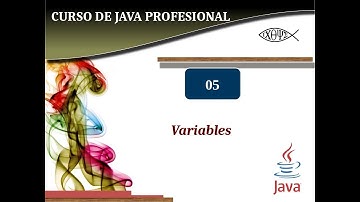 Java profesional #5. Variables.