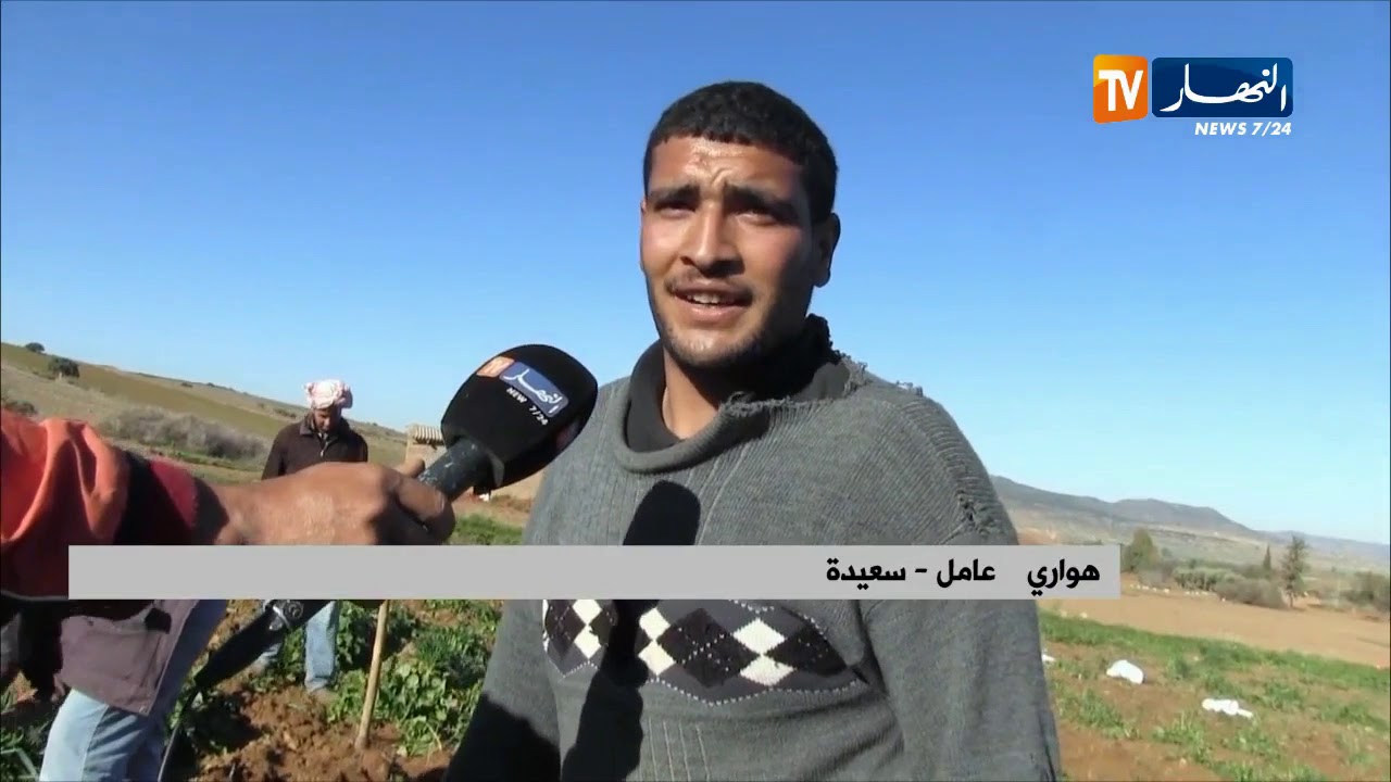 سعيدة: مشكل التسويق يعيق فلاحي منطقة بن حوى