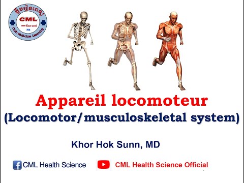 Musculoskeletal system/ប្រព័ន្ធគ្រោងឆ្អឹងមនុស្ស l CML Health Science Official