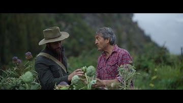 Swisse — The Quest Continues