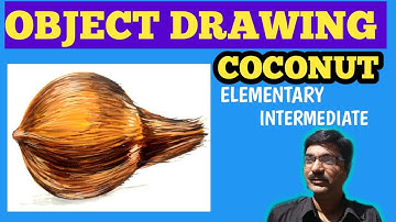 How to make Object drawing - coconut for Elementary Intermediate.