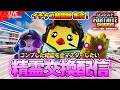 【フォートナイト】精霊交換会!持ってないマスター精霊と交換します!ダスト集めにご協力も【Fortnite】【ゼロビルド】【フォトナ】【みんなの遊び場ichaco🦖💨】