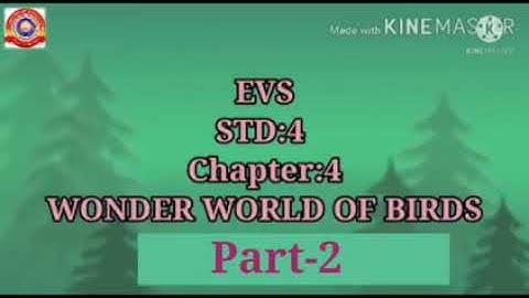 Standard 4 Evs Chapter 4 Part 2 .Wonder World of Birds.