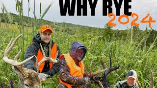 Why Plant Rye for Whitetail Food Plots