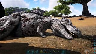 7 Ragnarok Mega Rabies