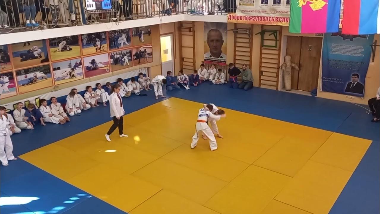 Дзюдо иппон и Вазари