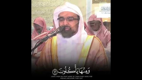 وما علمناه الشعر ~ تلاوة هادئة وخاشعة للزعيم ناصر القطامي 💚💚