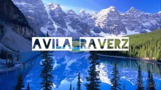 Bassjackers, Afrojack - What We Live For