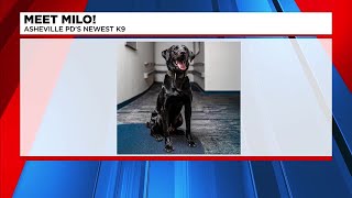 Asheville Police Department welcomes new K-9 officer
