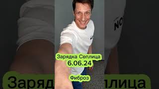 Зарядка Сеплица,. Про фиброз,, жир, коллаген и фибробласты. 6/06/24