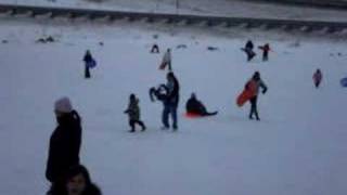 kit and girl eating shit