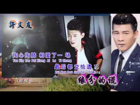许文友    缘分的谎~HD~KTV
