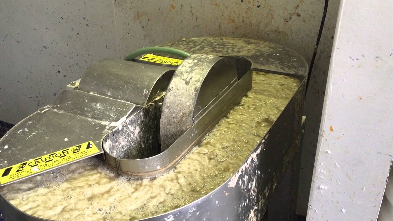 2 lb. Reina Hollander Beater YouTube