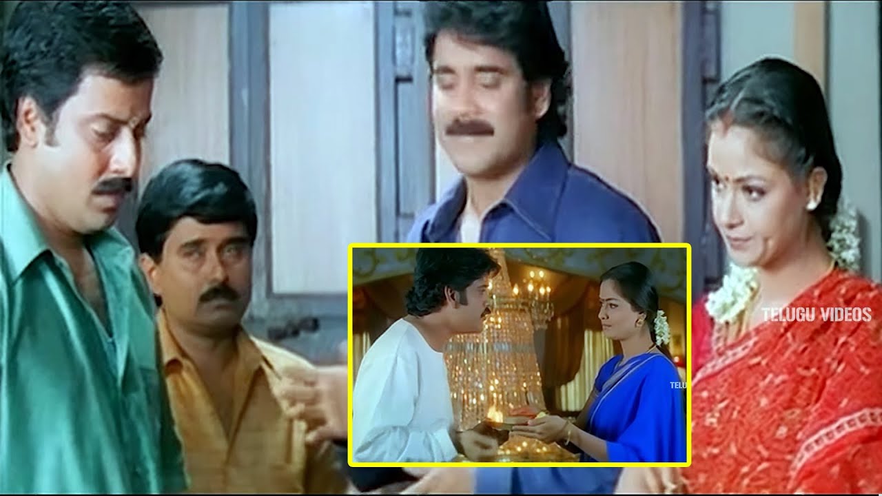 Nagarjuna & Simran Telugu Movie Interesting Comedy Scene | Telugu Movie Scenes | Telugu Videos