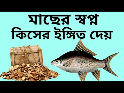 ভিডিও: মাছ কেন স্বপ্ন দেখছে