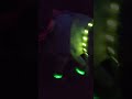 Glow in the dark horse #equestrianlife #horseriding #glowinthedark #shorts