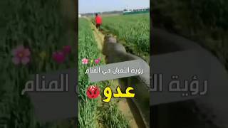 رؤية الثعبان في المنام 😳 || للشيخ محمود عبدالله #تفسير_احلام #تفسير #رؤية #muslim#السعودية