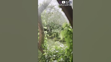 تلاوة خاشعة من سورة الفرقان للقارئ ياسر العجلان🍃 #اكسبلور #راحة_نفسية #المصحف #لايك