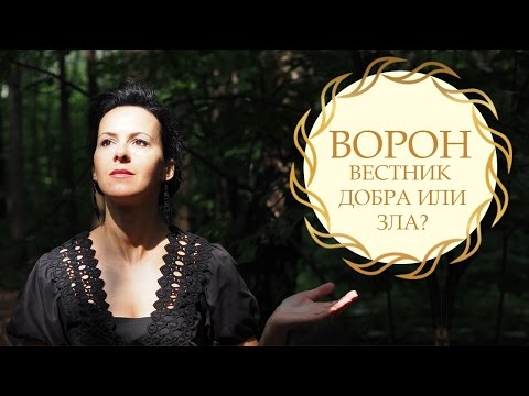 Ворон - магическая птица