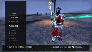 The Elder Scrolls Online glitch WTF