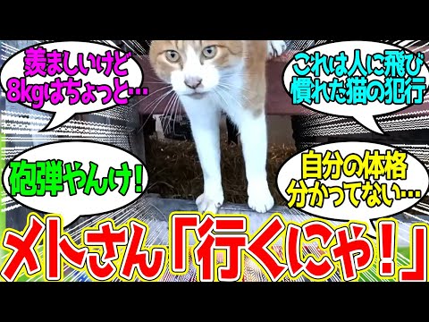Meto-san seems to have no idea about his weight... Everyone's reaction to this! [Horse Racing Rea...